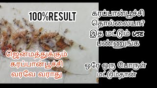 கரப்பான்பூச்சி தொல்லையிலிருந்து விடுபட ||ged rid of cockroach in tamil antiroach gel #cockroach