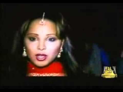 makakatoons   pinguinos