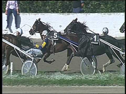 Trotto 23/10/2016 - 3ª corsa