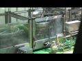 Tanduay Distillery Tour