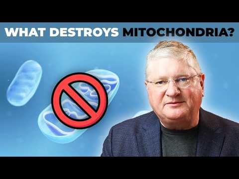 The REAL CAUSE of Mitochondria Damage and HOW TO PREVENT IT | Dr. Anderson