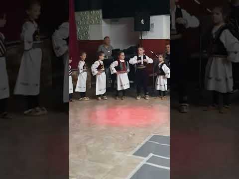 KUD Branko Radicević Beč pačići prvi nastup