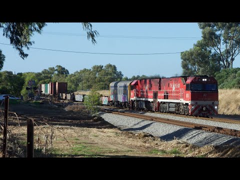NR74 & NR110 [GHAN LOCOS] [RARE] WORK 1PS6 
