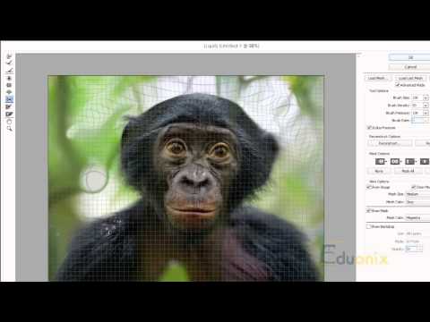 Adobe Photoshop Tutorial 27 Liquify and Oil Paint