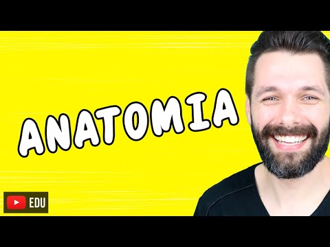 INTRODUÇÃO À ANATOMIA - Anatomia Humana | Biologia com Samuel Cunha