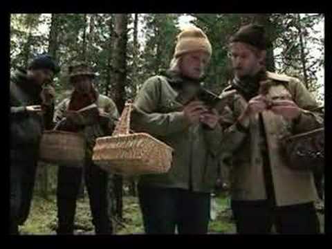 Pangbulle - Svampplockaren Bernt