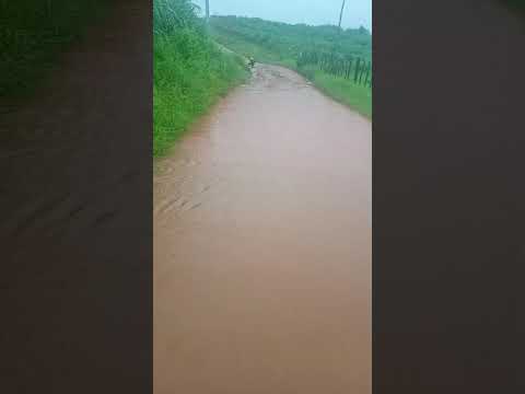 🇧🇷 ÁGUAS PARA O AÇUDE JUNCO, EM GRANJEIRO, CEARÁ 22/04/2026