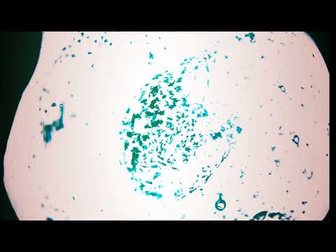 ENERGIZING PRANIC FIELD | SCALAR ENERGY FIELD ( TESLA COIL )