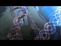 Street Fighter IV Rose S Ending