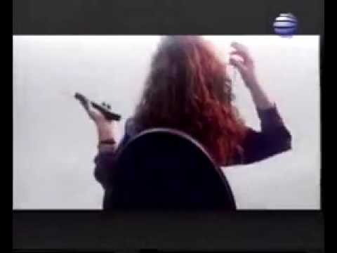 Шишaркaтa и Попa тигре,тигре имaш ли пaри...