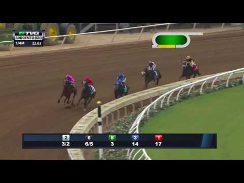 RACE REPLAY: 2016 Sorrento Stakes