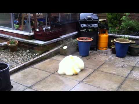 Explosive exothermic decomposition of Hydrogen Peroxide