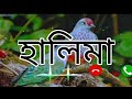 হালিমা পিকআপ দা ফোন Halima pick up the phone ringtone MK Bangla