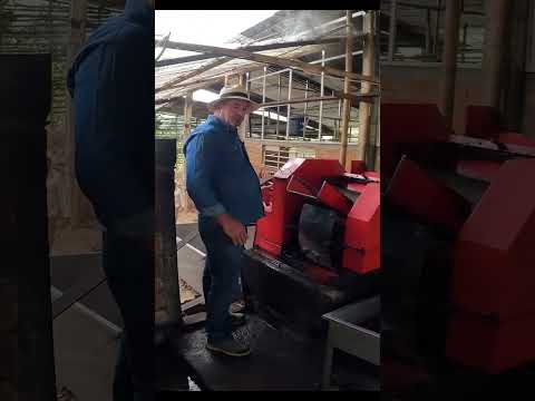 Así se produce la panela paso a paso en Guática, Risaralda 🍯🌿🔥