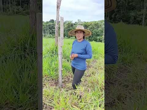  Putumayo también es campo, es gente trabajadora y es esperanza. 💚