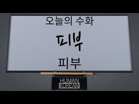 「피부」의 한국수어 표현
