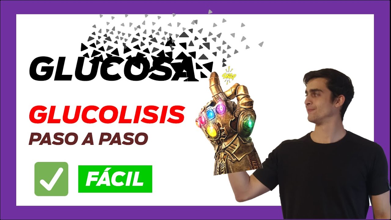 ✅ GLUCOLISIS paso a paso [FÁCIL de entender] GLICOLISIS anaerobica | reacciones enzimaticas