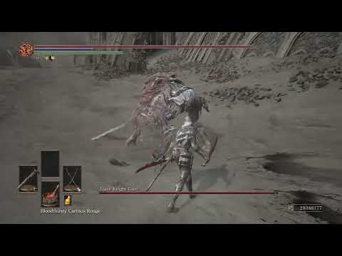 [111 Builds] Vileblood vs Gael (Dark Souls III: Cinders Mod)