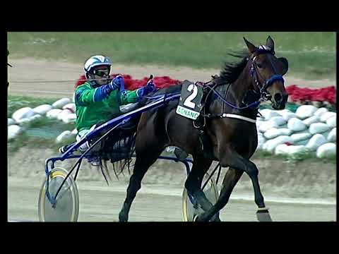 Napoli Trotto 29/10/2021 - 1ª corsa