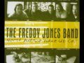Freddy Jones Band~Ferris Wheel