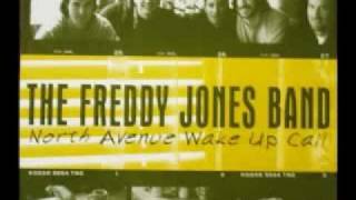 Freddy Jones Band~Ferris Wheel