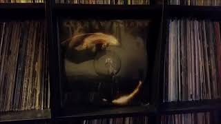 lenny williams think what we have