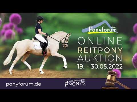 DARK ART Stute 2016 v. Dating AT NRW / Dance Star AT