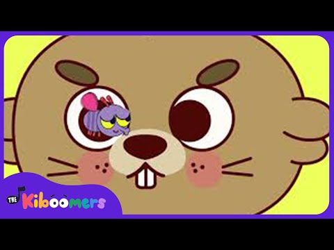 Little Peter Rabbit - The Kiboomers Preschool Songs for Circle Time