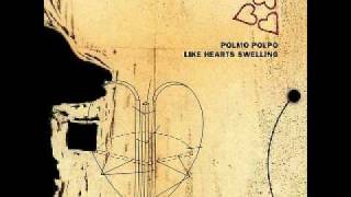 Requiem for a Fox -  Polmo Polpo (Constellation 2003)