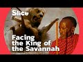 How Men Get Along With The King Of Animals SLICE