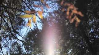 "Stagger to the Sky" - Stranger Cat