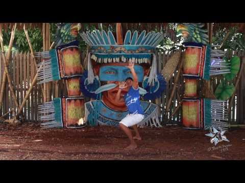 TV CAPRICHOSO - COREOGRAFIA 2014: TOCAIA