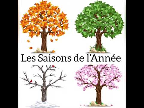 LES SAISONS DE L’ ANNÉE 🍁❄️🌺☀️