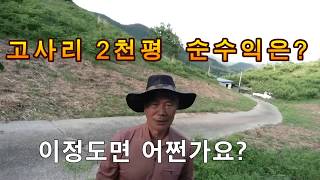 (귀농)고사리 2천평 수익 공개 (이정도 수익이면?)