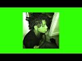 Sahbabii Honey Bees Sped Up