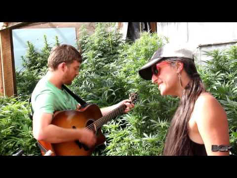 Nate, Jen & Davisson - Black Mountain 7 Greenhouse Sessions
