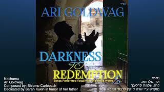 Ari Goldwag | Nachamu (Shlomo Carlebach) A Cappella ארי גולדוואג נחמו (קרליבך) ווקאלי