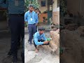 Beginners Welder Drilling Training ITI Shortvideo Screwing Education