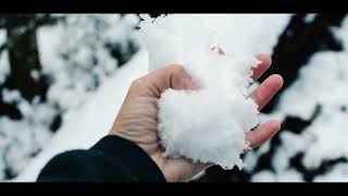 MICROS VIDEOPOESIA Mei Villagra