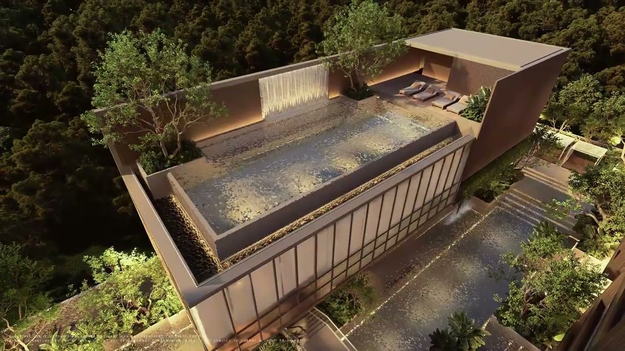 Celine Wongamat, Projekt-Video