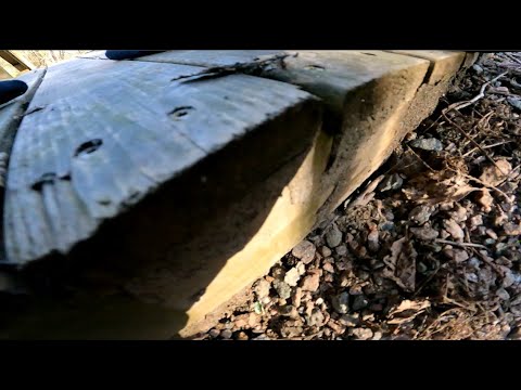 Trallskruv i närbild