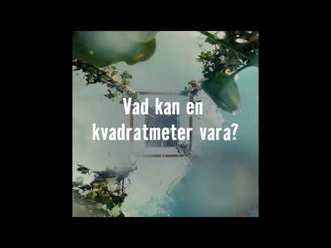 HORNBACH | Hur gör man en kvadratmeter till världens bästa?