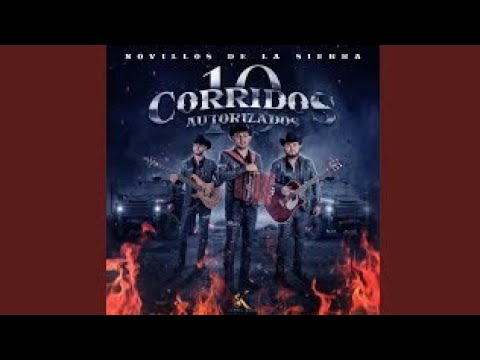 Nunca Tire La Toalla - Novillos De La Sierra (Audio Oficial)