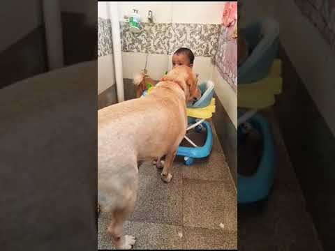 Manveer with lucy& fluffy