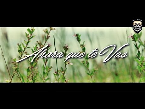 download lagu mp3 mp4 Carlos Cosculluela, download mp3 Carlos Cosculluela free download, download mp3 Carlos Cosculluela