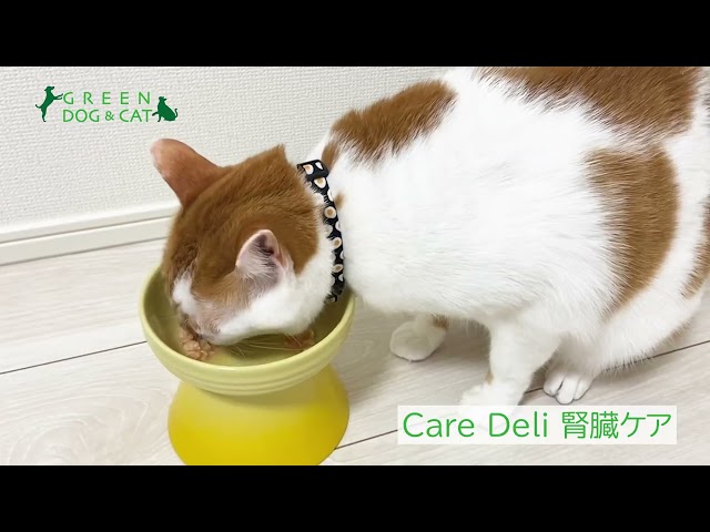Care Deli（ケアデリ）腎臓ケア