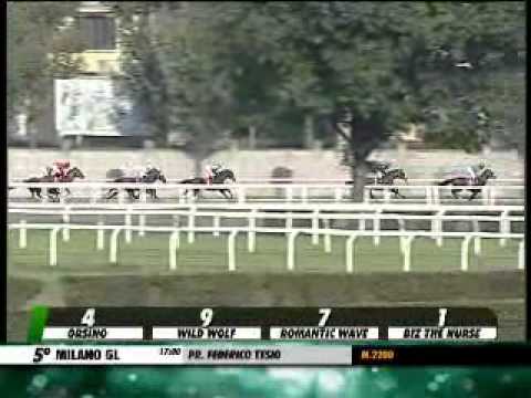 22/09/2013, Milano , Premio Federico Tesio