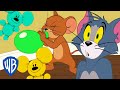 Tom Y Jerry En Latino La Fiesta Con Globos WB Kids