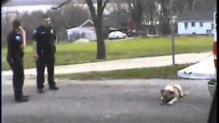 Mr Policeman Don&#39;t shoot My Dog!