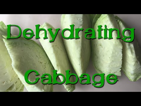 , title : 'Dehydrating Cabbage for Long Term Food Storage'